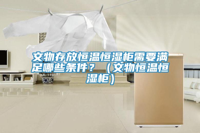文物存放恒溫恒濕柜需要滿足哪些條件？（文物恒溫恒濕柜）