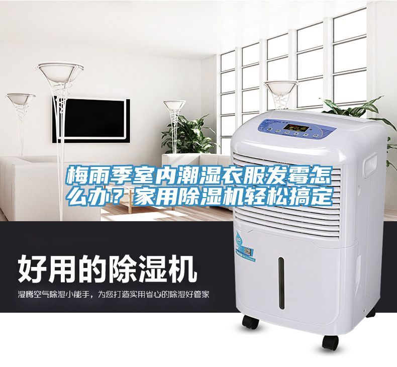 梅雨季室內(nèi)潮濕衣服發(fā)霉怎么辦？家用除濕機輕松搞定
