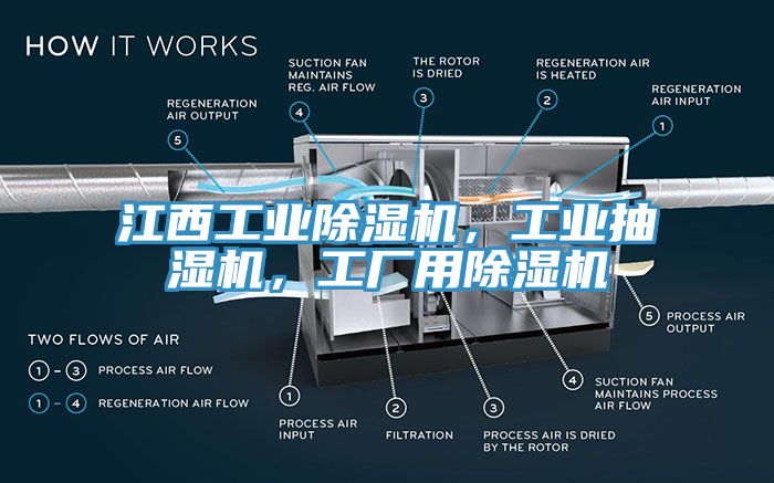 江西工業(yè)除濕機，工業(yè)抽濕機，工廠用除濕機