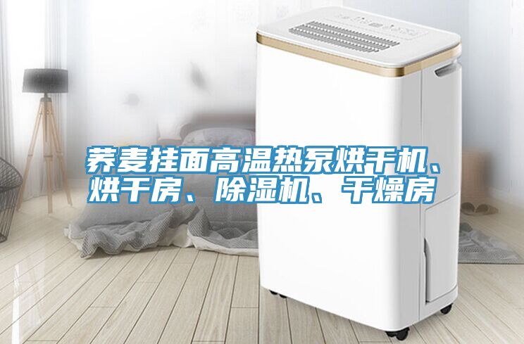 蕎麥掛面高溫?zé)岜煤娓蓹C(jī)、烘干房、除濕機(jī)、干燥房