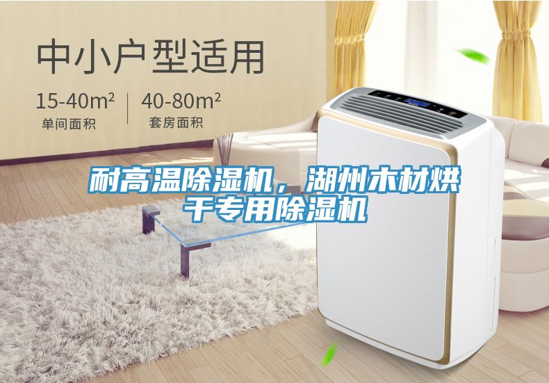 耐高溫除濕機(jī)，湖州木材烘干專用除濕機(jī)