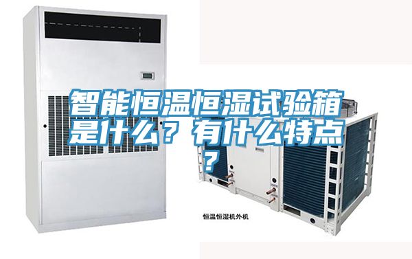 智能恒溫恒濕試驗箱是什么？有什么特點(diǎn)？