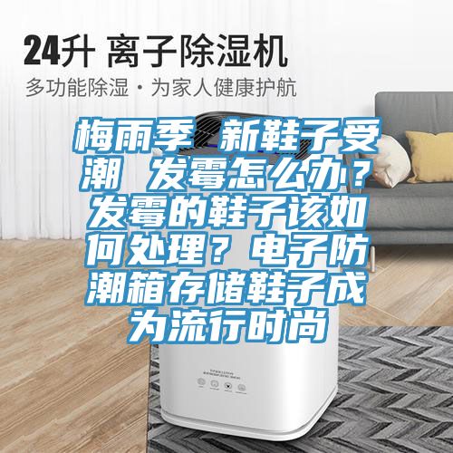 梅雨季 新鞋子受潮 發(fā)霉怎么辦？發(fā)霉的鞋子該如何處理？電子防潮箱存儲鞋子成為流行時尚
