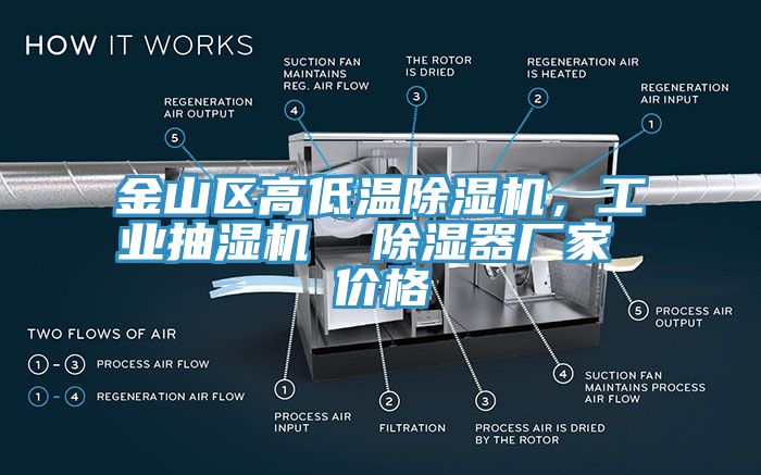 金山區(qū)高低溫除濕機，工業(yè)抽濕機  除濕器廠家 價格