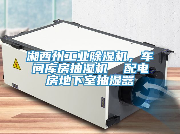 湘西州工業(yè)除濕機，車間庫房抽濕機  配電房地下室抽濕器