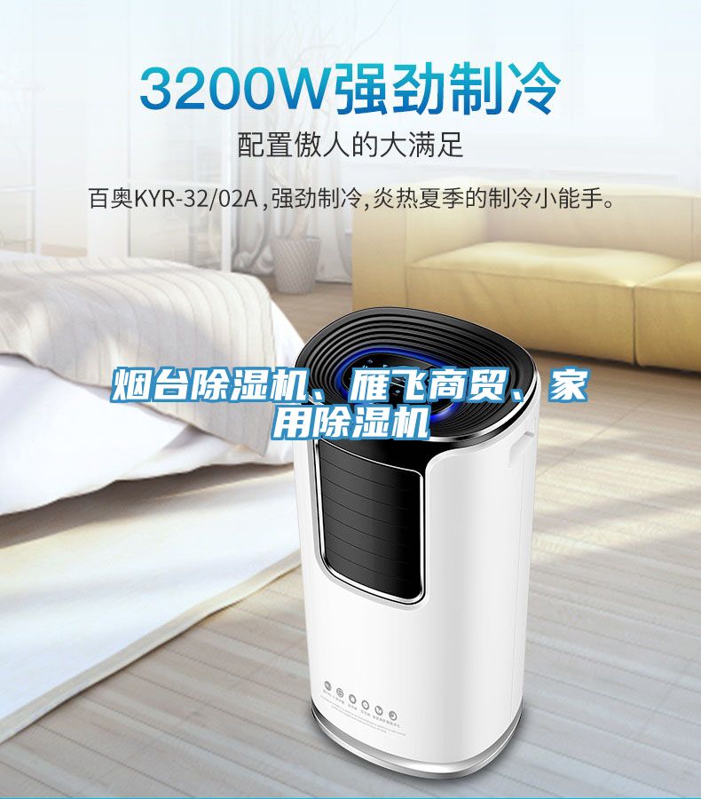 煙臺除濕機(jī)、雁飛商貿(mào)、家用除濕機(jī)