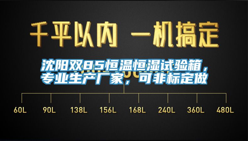 沈陽雙85恒溫恒濕試驗箱，專業(yè)生產(chǎn)廠家，可非標(biāo)定做