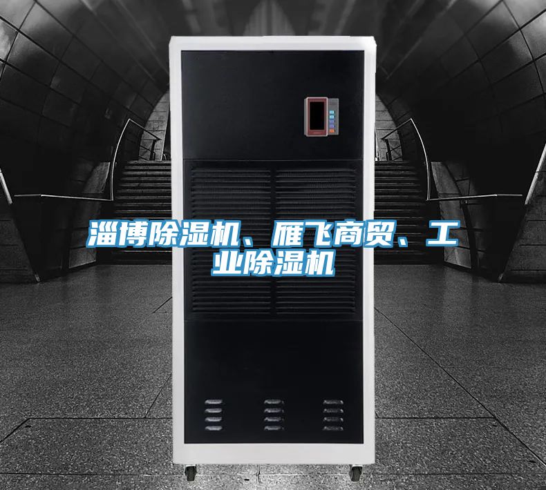 淄博除濕機、雁飛商貿(mào)、工業(yè)除濕機