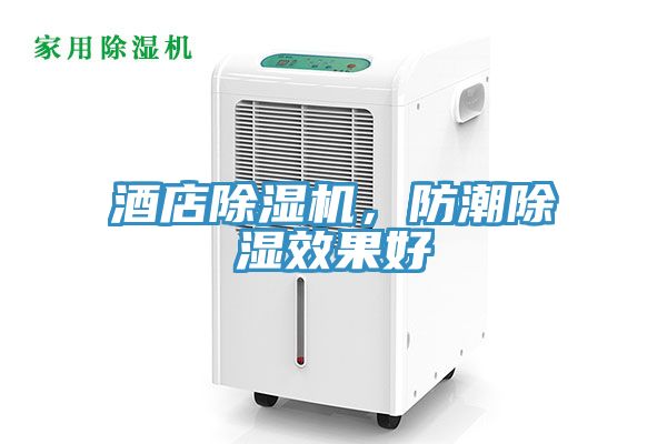 酒店除濕機，防潮除濕效果好