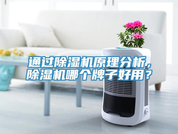 通過除濕機原理分析，除濕機哪個牌子好用？