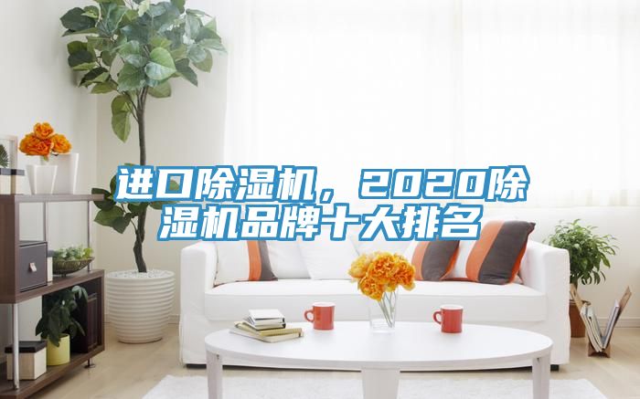 進(jìn)口除濕機(jī)，2020除濕機(jī)品牌十大排名