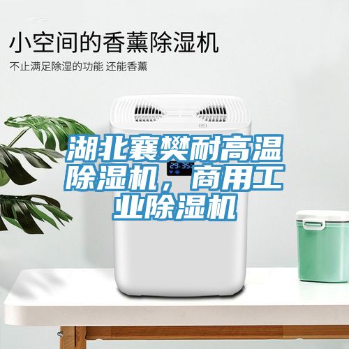 湖北襄樊耐高溫除濕機(jī)，商用工業(yè)除濕機(jī)