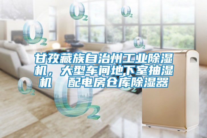 甘孜藏族自治州工業(yè)除濕機(jī)，大型車間地下室抽濕機(jī)  配電房倉庫除濕器