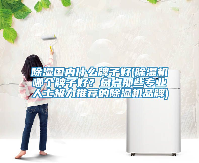 除濕國內什么牌子好(除濕機哪個牌子好？盤點那些專業(yè)人士極力推薦的除濕機品牌)
