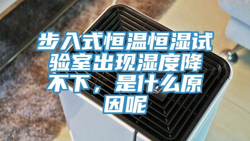 步入式恒溫恒濕試驗(yàn)室出現(xiàn)濕度降不下，是什么原因呢