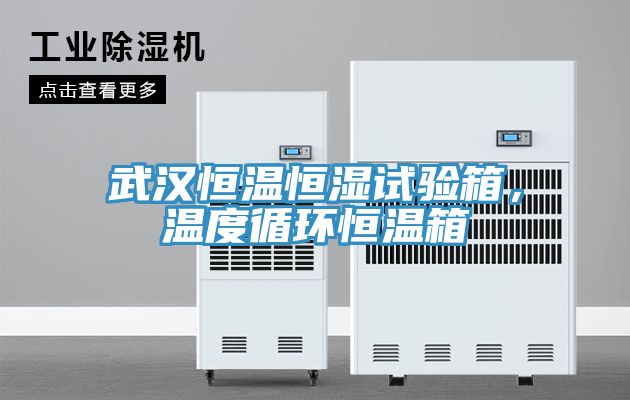 武漢恒溫恒濕試驗箱，溫度循環(huán)恒溫箱