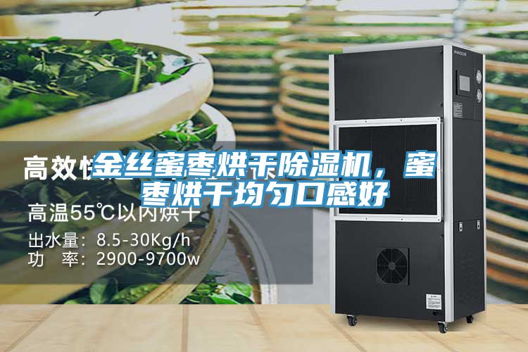 金絲蜜棗烘干除濕機，蜜棗烘干均勻口感好