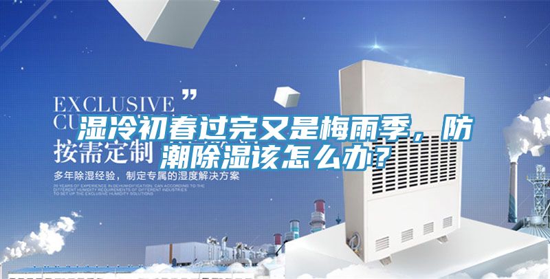 濕冷初春過完又是梅雨季，防潮除濕該怎么辦？