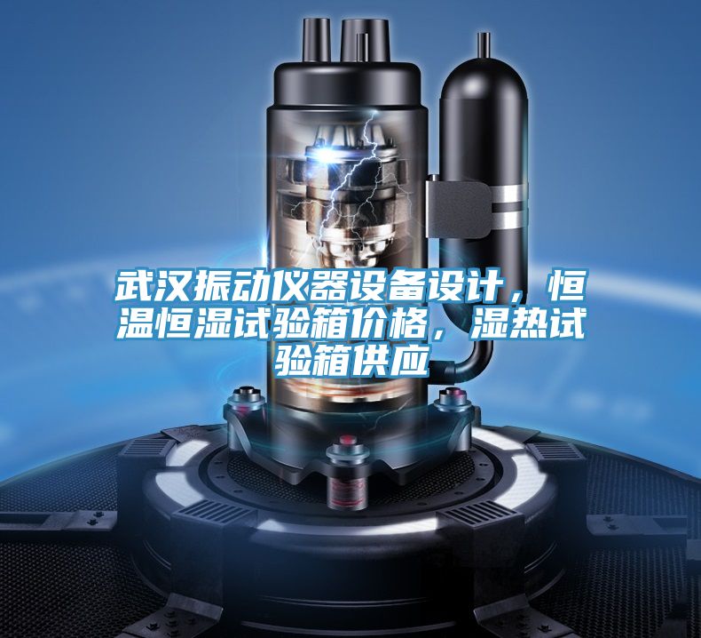 武漢振動(dòng)儀器設(shè)備設(shè)計(jì)，恒溫恒濕試驗(yàn)箱價(jià)格，濕熱試驗(yàn)箱供應(yīng)