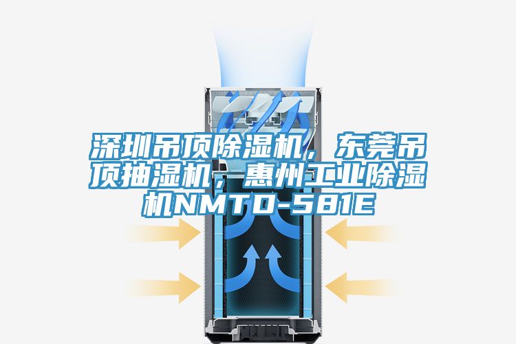 深圳吊頂除濕機，東莞吊頂抽濕機，惠州工業(yè)除濕機NMTD-581E