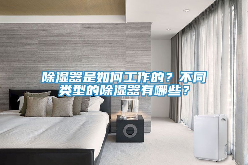 除濕器是如何工作的？不同類型的除濕器有哪些？