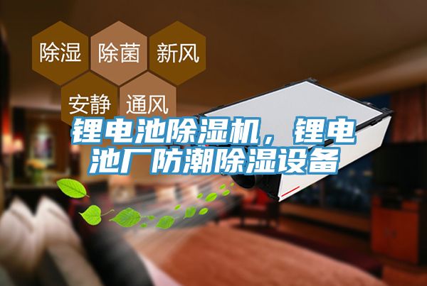 鋰電池除濕機(jī)，鋰電池廠防潮除濕設(shè)備