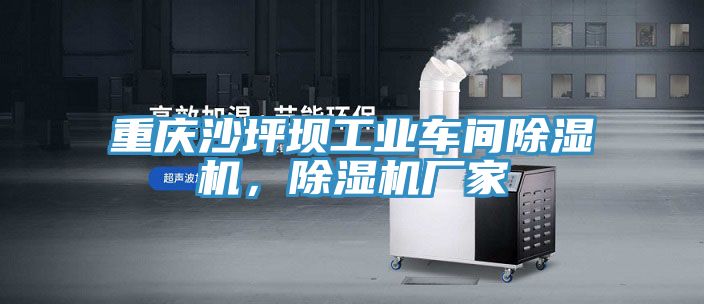 重慶沙坪壩工業(yè)車間除濕機，除濕機廠家