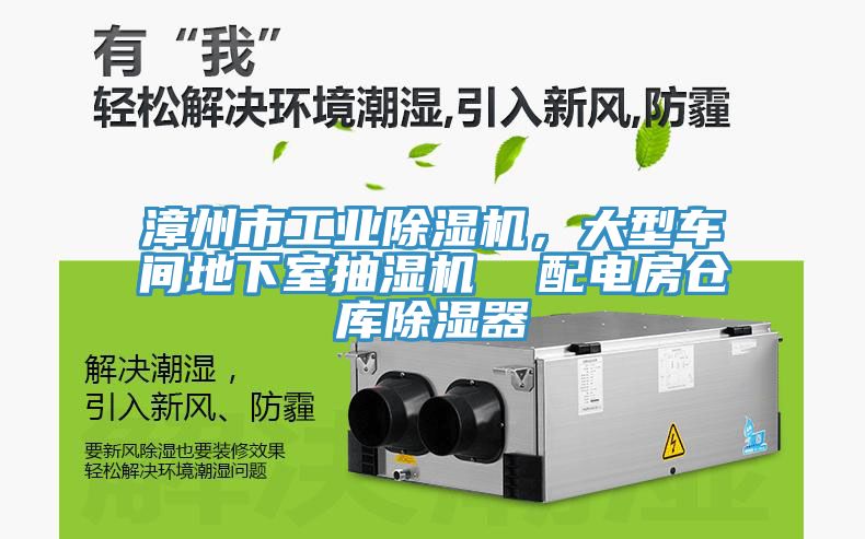 漳州市工業(yè)除濕機，大型車間地下室抽濕機  配電房倉庫除濕器