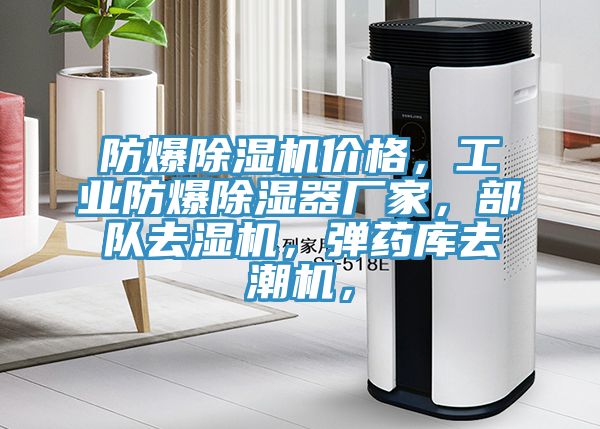 防爆除濕機價格，工業(yè)防爆除濕器廠家，部隊去濕機，彈藥庫去潮機，
