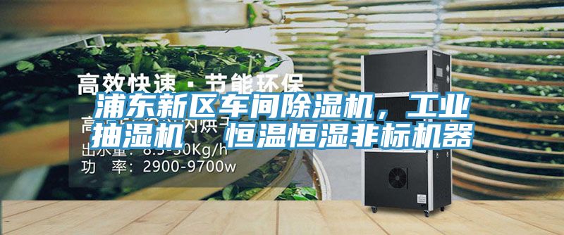 浦東新區(qū)車間除濕機，工業(yè)抽濕機  恒溫恒濕非標(biāo)機器