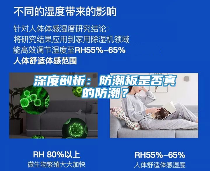 深度剖析：防潮板是否真的防潮？