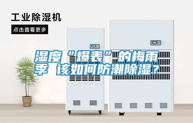 濕度“爆表”的梅雨季 該如何防潮除濕？