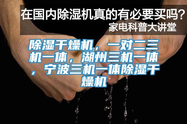 除濕干燥機(jī)，一對二三機(jī)一體，湖州三機(jī)一體，寧波三機(jī)一體除濕干燥機(jī)