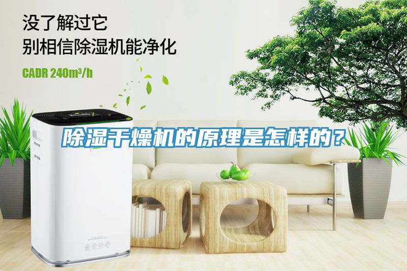 除濕干燥機(jī)的原理是怎樣的？