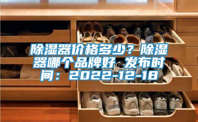 除濕器價(jià)格多少？除濕器哪個(gè)品牌好 發(fā)布時(shí)間：2022-12-18