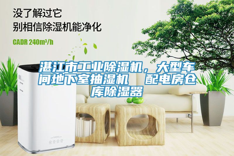湛江市工業(yè)除濕機，大型車間地下室抽濕機  配電房倉庫除濕器