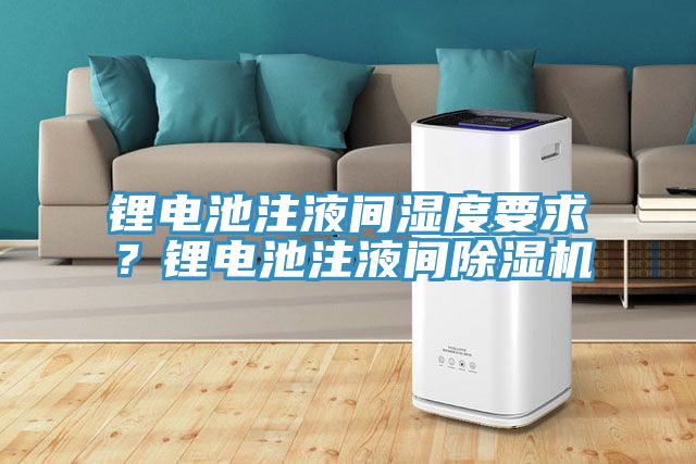 鋰電池注液間濕度要求？鋰電池注液間除濕機(jī)