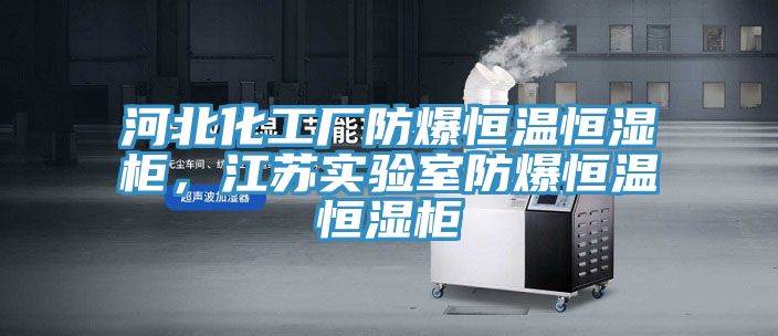 河北化工廠防爆恒溫恒濕柜，江蘇實驗室防爆恒溫恒濕柜