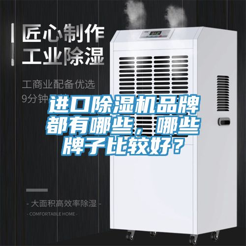進(jìn)口除濕機(jī)品牌都有哪些，哪些牌子比較好？