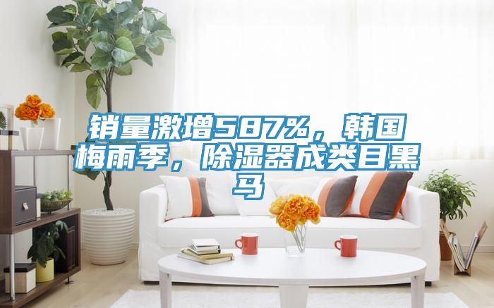 銷量激增587%，韓國梅雨季，除濕器成類目黑馬