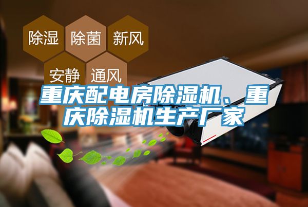 重慶配電房除濕機(jī)、重慶除濕機(jī)生產(chǎn)廠家