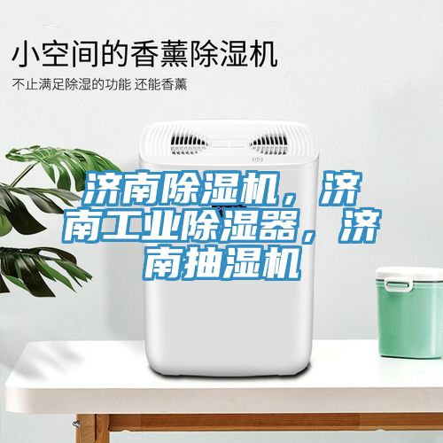 濟(jì)南除濕機(jī)，濟(jì)南工業(yè)除濕器，濟(jì)南抽濕機(jī)