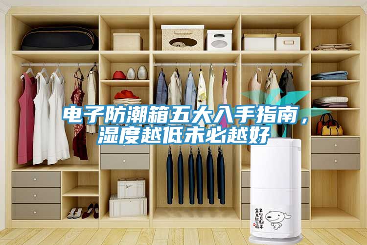 電子防潮箱五大入手指南，濕度越低未必越好