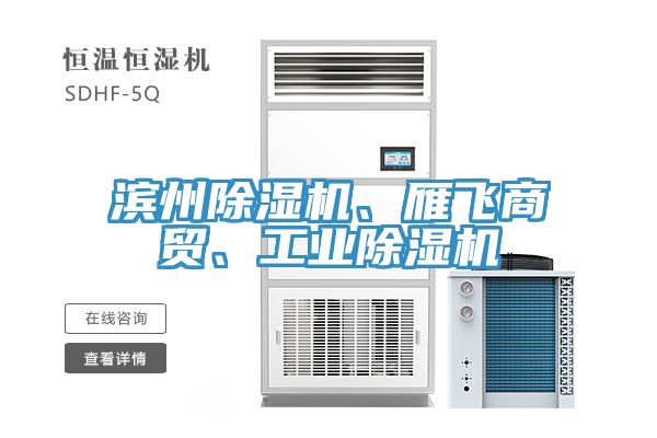 濱州除濕機(jī)、雁飛商貿(mào)、工業(yè)除濕機(jī)