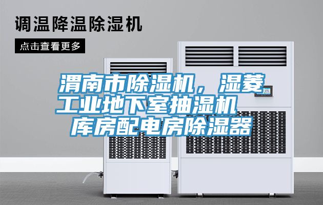 渭南市除濕機(jī)，濕菱工業(yè)地下室抽濕機(jī)  庫房配電房除濕器