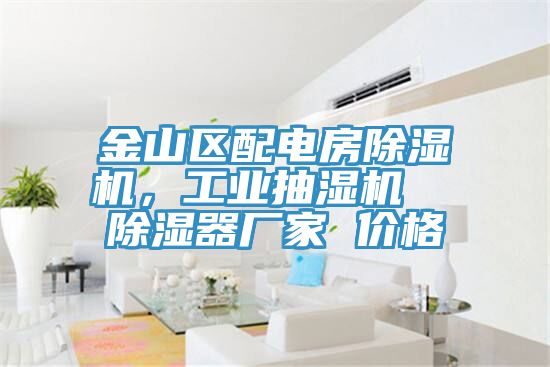 金山區(qū)配電房除濕機，工業(yè)抽濕機  除濕器廠家 價格