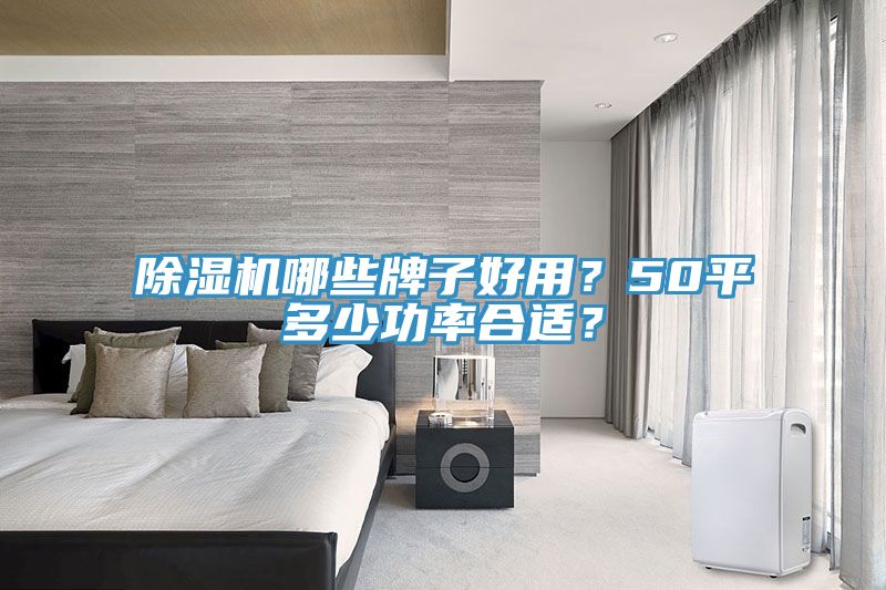 除濕機哪些牌子好用？50平多少功率合適？