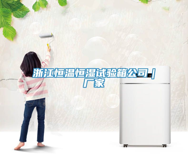 浙江恒溫恒濕試驗(yàn)箱公司｜廠(chǎng)家