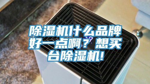 除濕機(jī)什么品牌好一點(diǎn)??？想買臺(tái)除濕機(jī)!