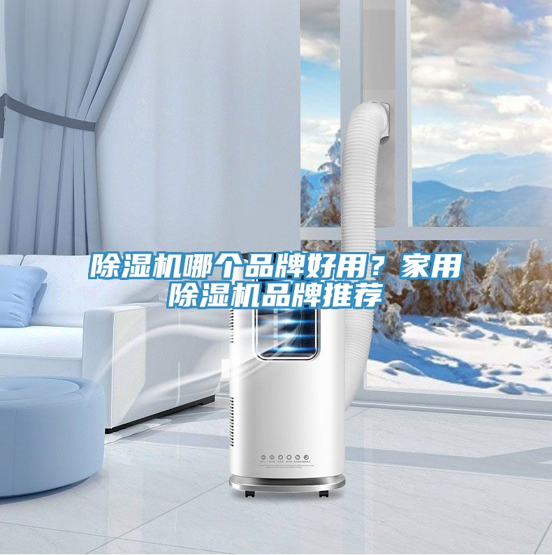 除濕機(jī)哪個(gè)品牌好用？家用除濕機(jī)品牌推薦